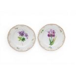 A SET OF SEVEN BOTANICAL DISHES with gilt borders, each plate decorated with a different floral
