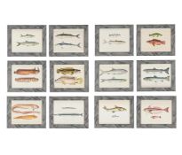 AFTER JONATHAN COUCH, A SET OF TWELVE PRINTS OF ILLUSTRATIONS FROM A HISTORY OF THE FISHES