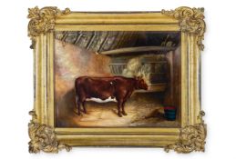 ENGLISH SCHOOL (19TH CENTURY), A COW IN A STABLE