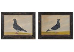 EDWARD HENRY WINDRED (BRITISH 1875-1953), HOMING PIGEONS: LAMPLIGHTER; NELLIE