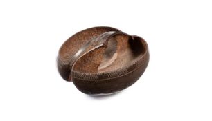 Y A COCO DE MER [LODOICEA MALDIVICA]