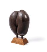 Y A COCO DE MER NUT (LODOICEA MALDIVICA)