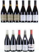 2015/2021 Old & New World Pinot Noir - An amazing case never to be seen again