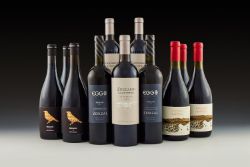 2013/2016 Zuccardi and Zorzal Wines
