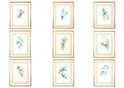 JOHN GOULD (1804-1881), WILLIAM HART (1830-1908) AND HENRY CONSTANTINE RICHTER (1821-1902)