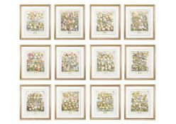 AFTER PIETER CASTEELS III, THE MONTHS OF THE YEAR IN FRUIT