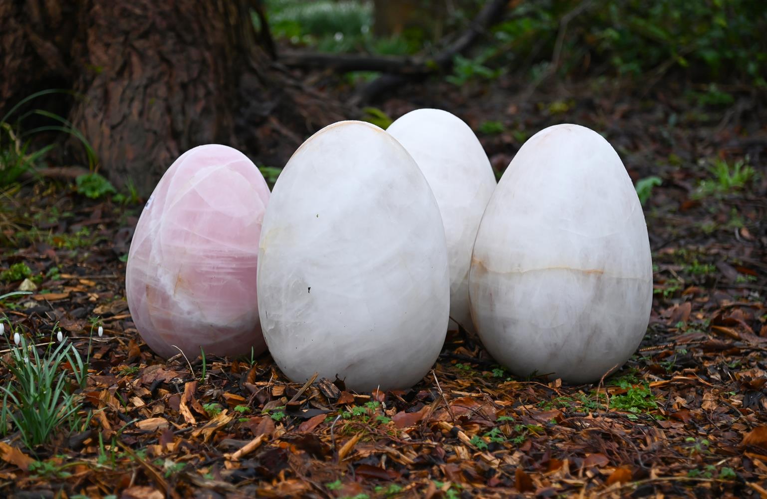 A GROUP OF FOUR POLISHED MINERAL EGGS