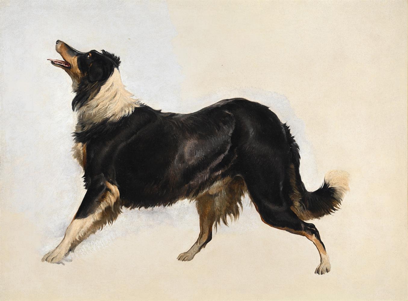 THOMAS SIDNEY COOPER (BRITISH 1803-1902), STUDY OF A COLLIE