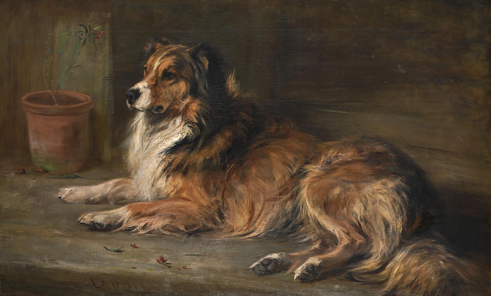 ROBERT L. ALEXANDER (BRITISH 1840-1923), 'LADDIE', A COLLIE