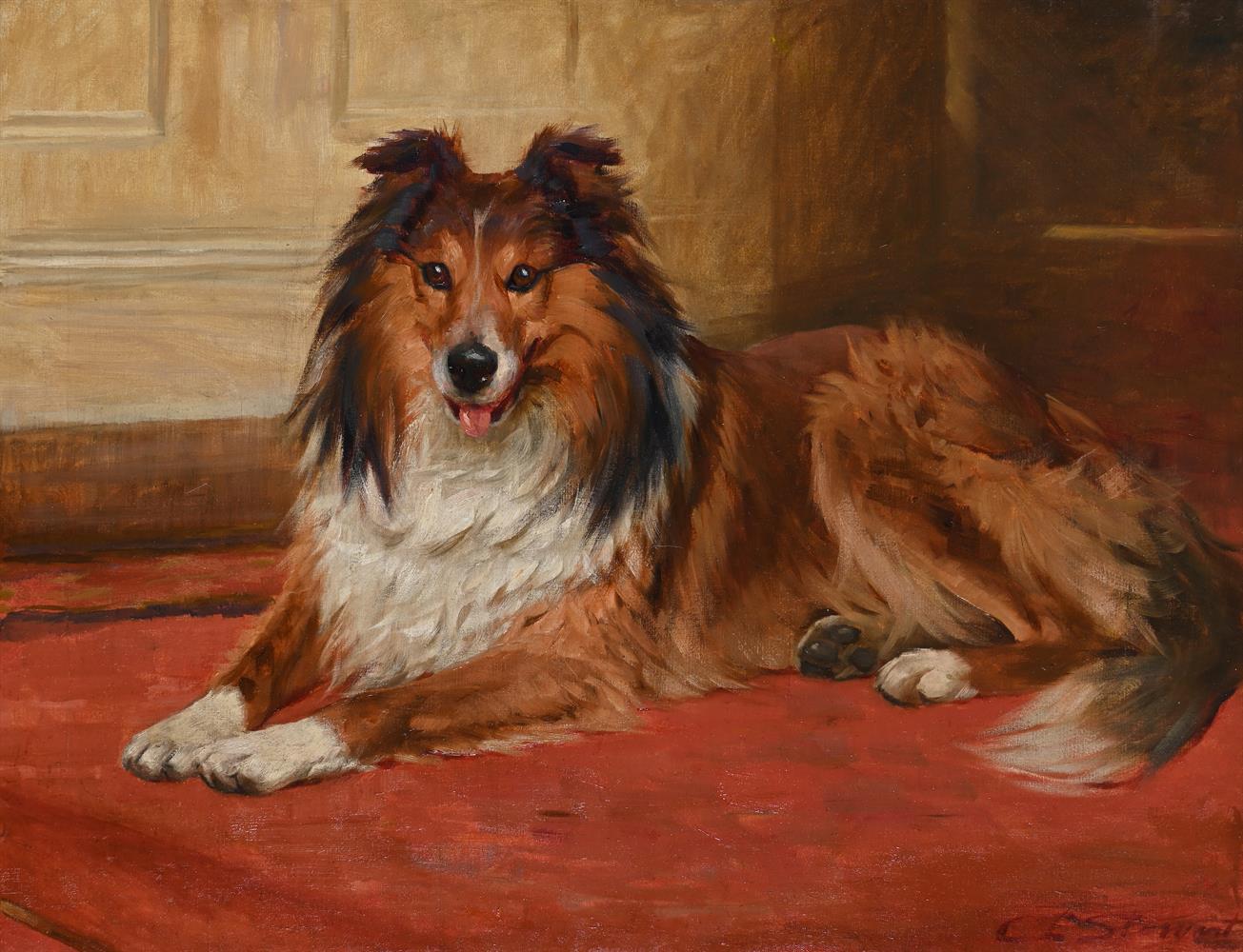 CHARLES EDWARD STEWART (SCOTTISH 1866-1942), A COLLIE LYING DOWN