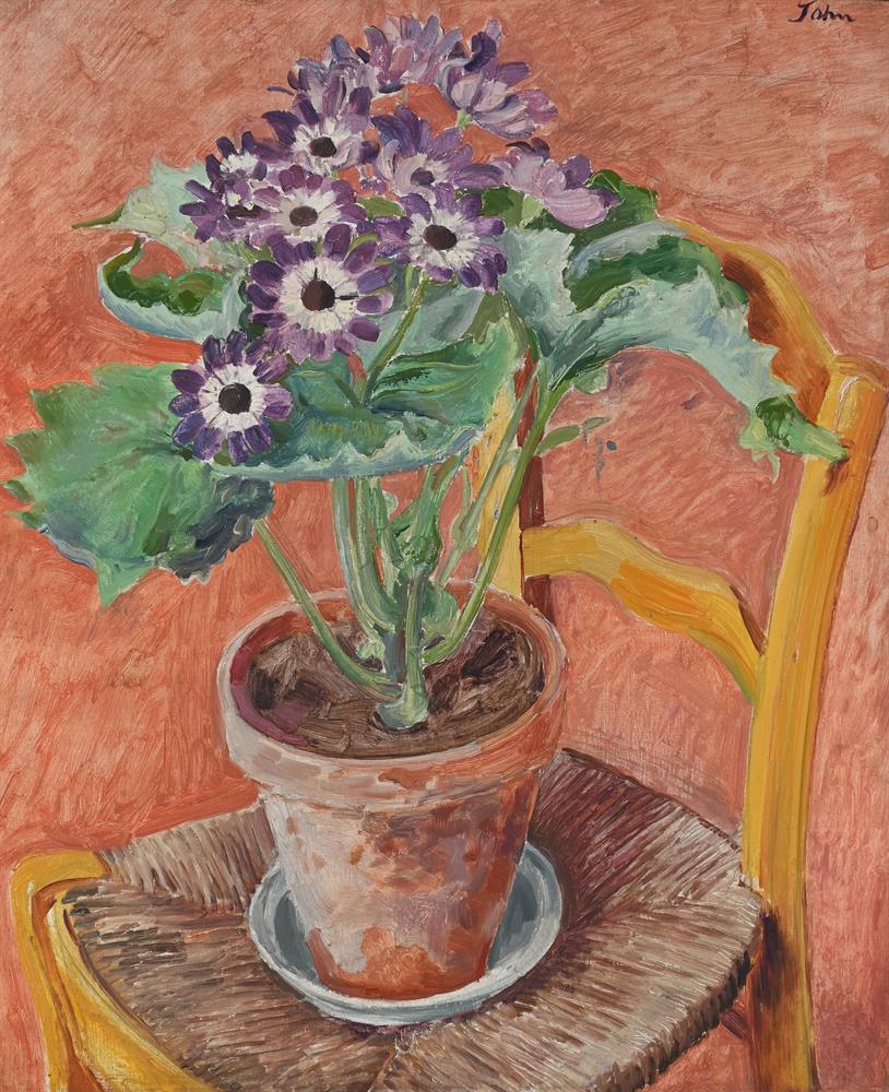 AUGUSTUS JOHN (BRITISH 1878-1961), CINERARIA IN A TERRACOTTA POT