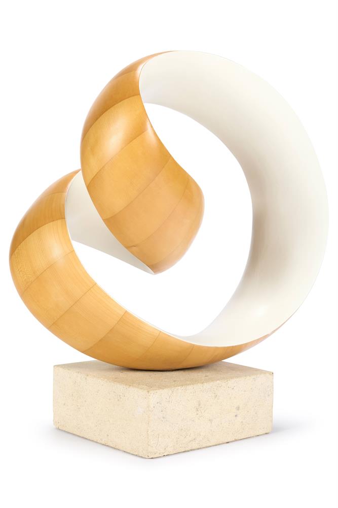 RICHARD FOX (BRITISH B. 1965), WHITE RAVEL XIV