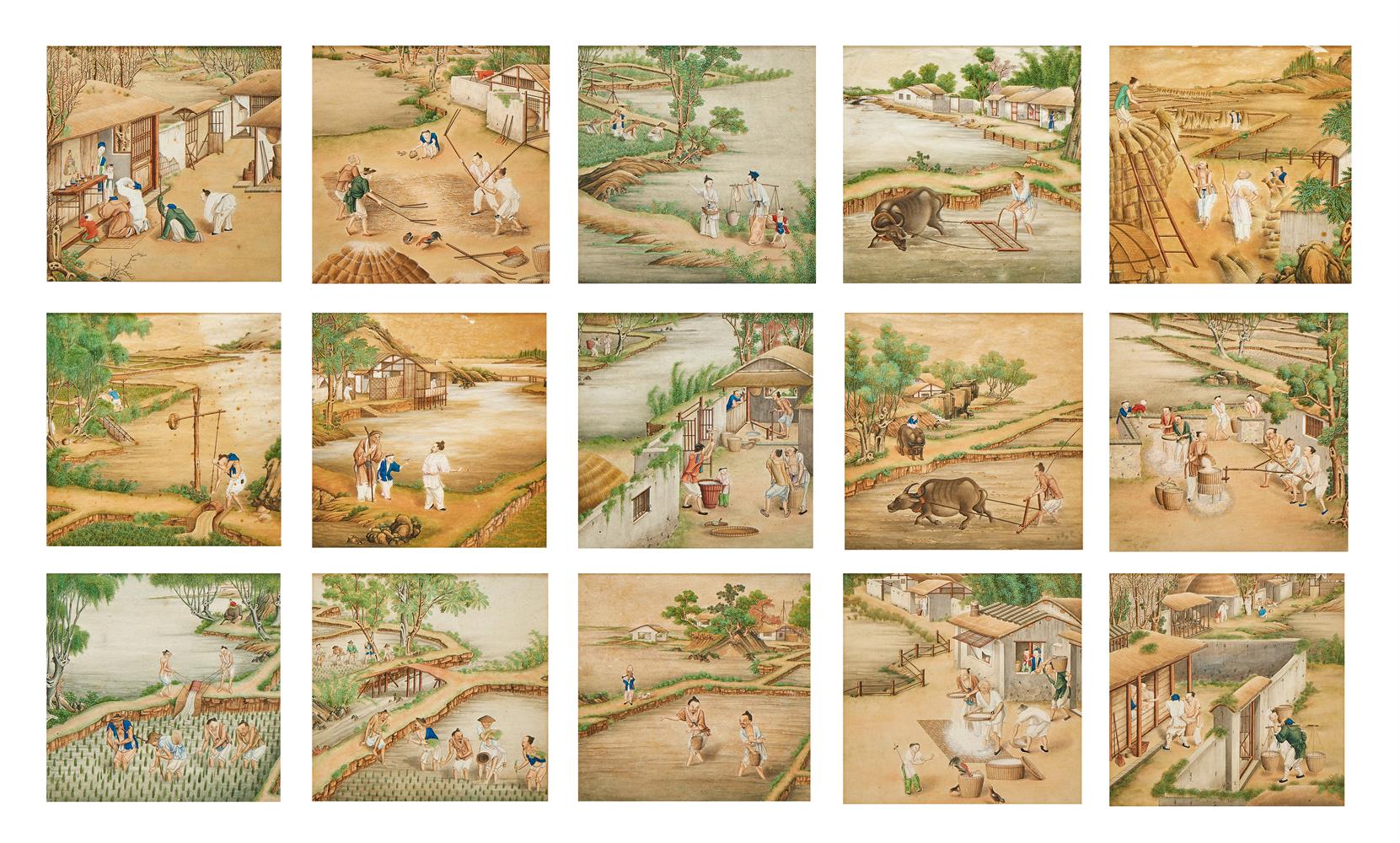 Fifteen Chinese paintings illustrating stages in the production of rice