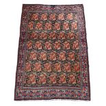 A VERAMIN RUG OR SMALL CARPET