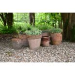A GROUP OF SIX TERRACOTTA PLANTERS, PREDOMINANTLY LATE 20TH CENTURY