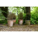TWO PAIRS OF TERRACOTTA PLANTERS, LATE 20TH CENTURY