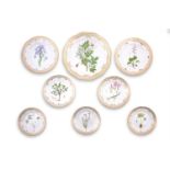 A GROUP OF NINE ROYAL COPENHAGEN FLORA DANICA PORCELAIN PLATES