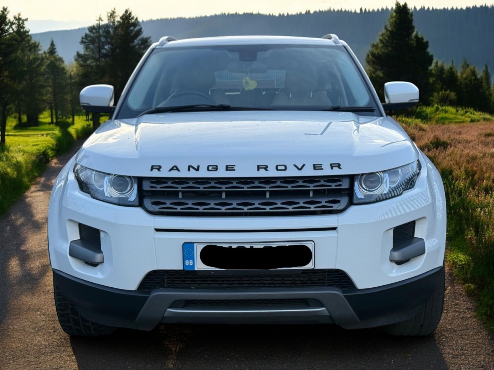 2012 LAND ROVER RANGE ROVER EVOQUE 2.2 TD4 PURE >>--NO VAT ON HAMMER--<< - Image 3 of 32