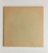 31 BXS CAMILE TERRACOTTA WALL TILES 152 X 152 X 5.5MM (6X6" APPROX)