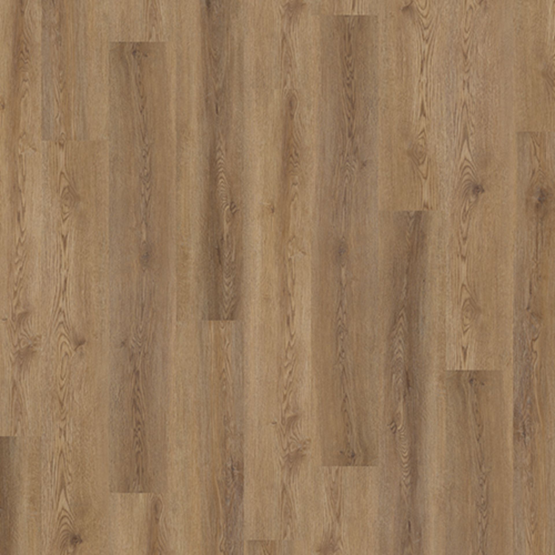80 X BOXES (268M2) PREMIUM GLUEDOWN WOOD-EFFECT VINYL PLANK FLOORING LVT- RICH OAK - RRP £6,700