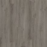 80 X BOXES (268M2) PREMIUM GLUEDOWN WOOD-EFFECT VINYL PLANK FLOORING LVT- SILVER OAK - RRP £6,700
