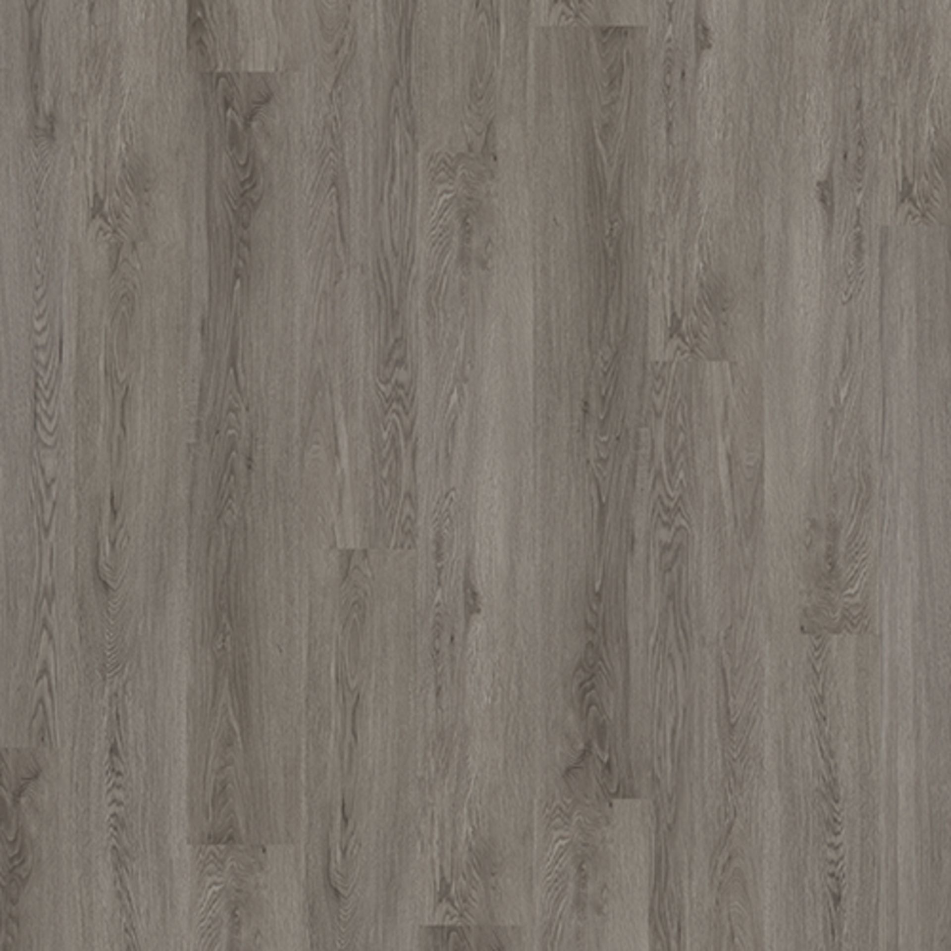 80 X BOXES (268M2) PREMIUM GLUEDOWN WOOD-EFFECT VINYL PLANK FLOORING LVT- SILVER OAK - RRP £6,700