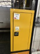 Steel frame lockable chemical store unit