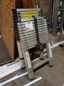 2 x various telescopic ladders