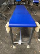 Aqua-Line Stainless steel powered conveyor, 3 phase 350 x 19500mm. Working height 740/960mm