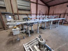 Approx 9m Flex Link conveyor system