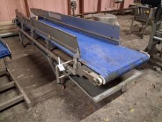 Stainless steel powered 3 phase belt conveyor 800 x 4350mm