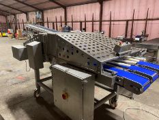 Food Technology Thielemann Poultry Breast Slicer