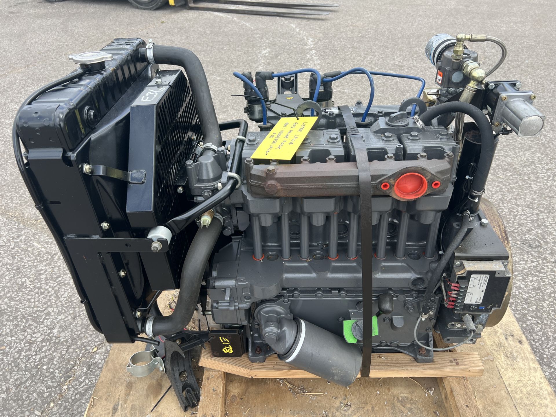 Lister LPW4G Bio Gas Power Pack NEW - Image 15 of 19