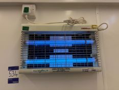 Chameleon insectecutor