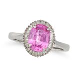 A PINK SAPPHIRE AND DIAMOND CLUSTER RING in platinum, set with an oval cut pink sapphire of 2.35