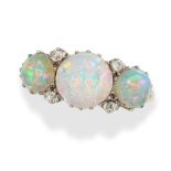 AN ANTIQUE EDWARDIAN OPAL AND DIAMOND RING in 18ct yellow gold and platinum, set with three round ca