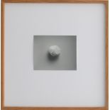 Till Krause | Elemente für eine künstlerische Natur | Fotografie | 1997