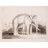 Burma.- Crawfurd (John) Journal of an Embassy from the Governor General of India to the Court of ...