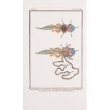 Reptiles.- Daudin (F[rancois]. M[arie].) Histoire Naturelle, Générale et Particulière des Reptile...