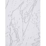 Andy Warhol (1928-1987) Mao, from The New York Collection for Stockholm Portfolio (Feldman & Sch...