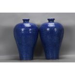 Ming Xuande Snowflake Orchid Carved Dragon Plum Vase