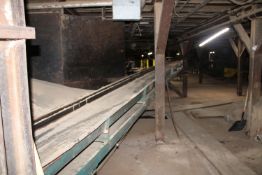 112' x 24" Belt Waste Conveyor