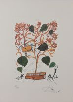 Salvador Dali - "Surrealist Flowers"