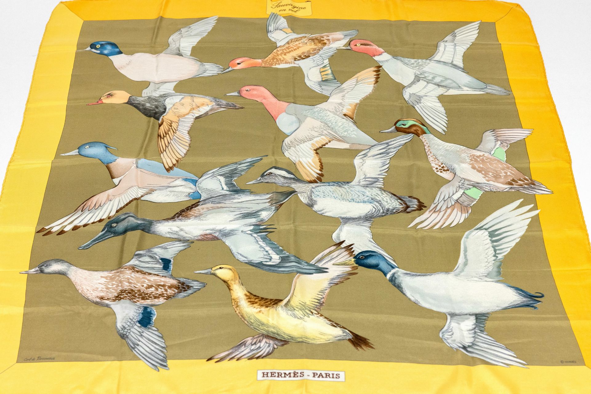 HERMES Seidencarree, 100% Seide, 'Sauvagineen vol',