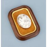 Muschelkamee mit Schaurahmen, ovale Muschelkamee,