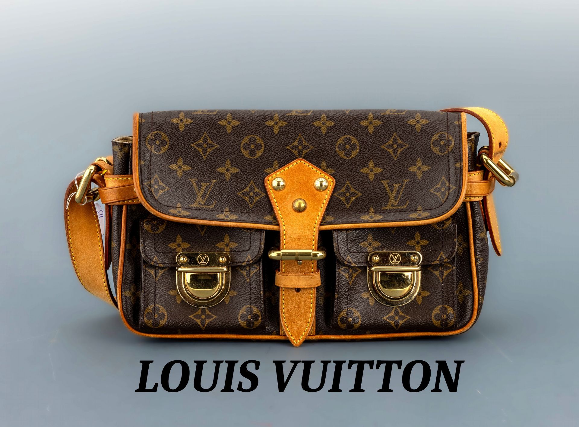 LOUIS VUITTON Handtasche, 'Hudson PM, Monogram Canvas',
