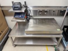 Mettler Toledo Platform Scale