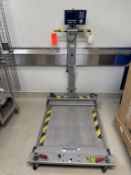 Mettler Toledo Floor Scale