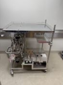 Wilden Diaphragm Pump