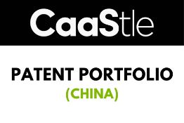 Patent Portfolio (China)